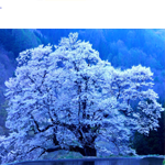 image01
