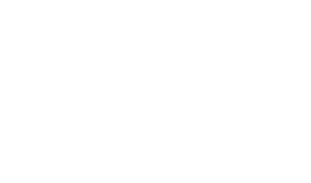 programm background blur