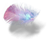 feather image 2